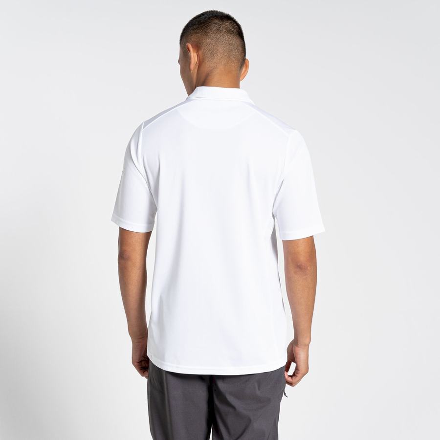 Men's Craghoppers NosiLife Pro Active Short Sleeved Polo T-Shirts White | TNE9884QU