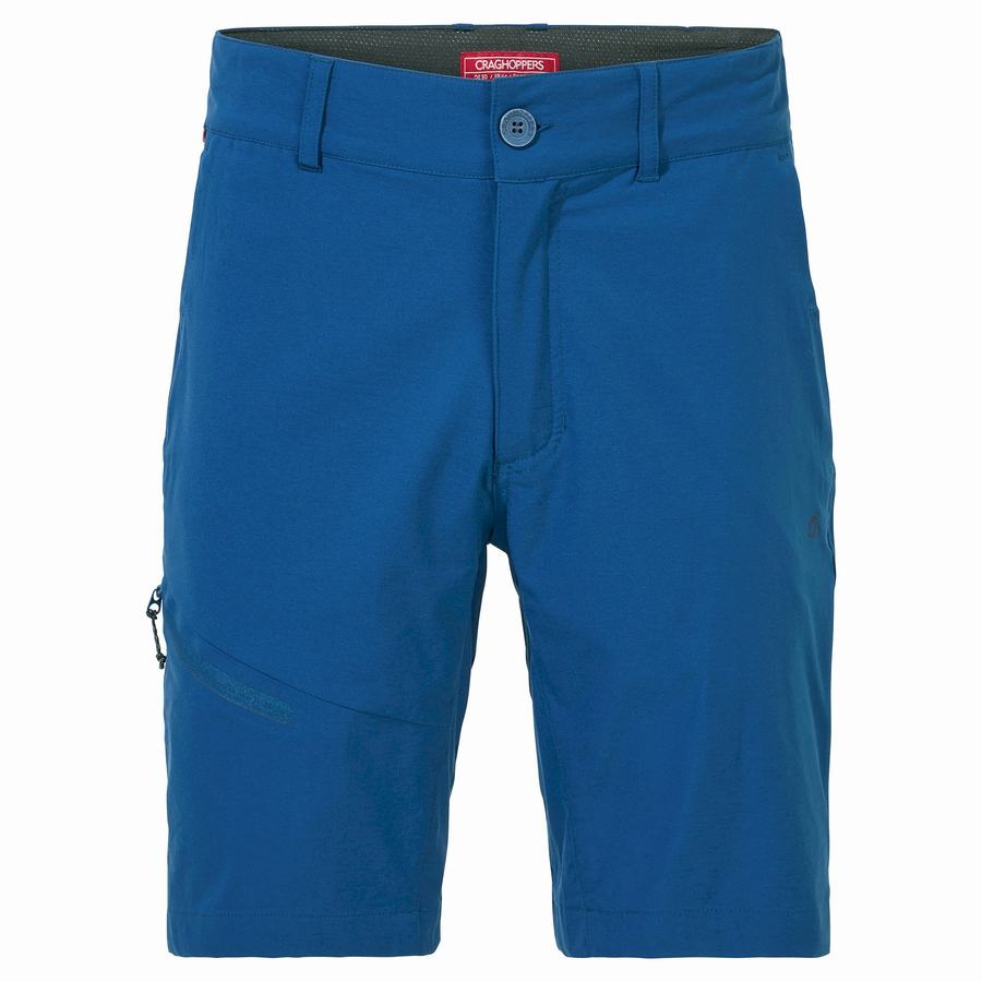 Men's Craghoppers NosiLife Pro Active Shorts Navy Blue | TPC4278IO