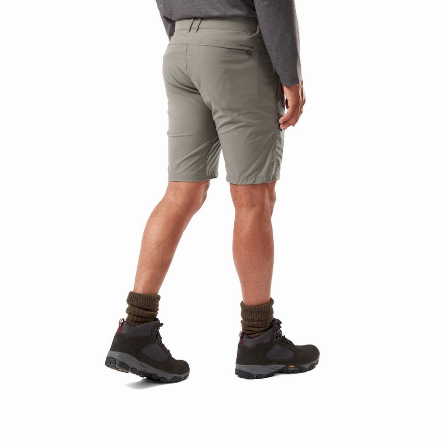 Men's Craghoppers NosiLife Pro Active Shorts Grey | XOQ136WO