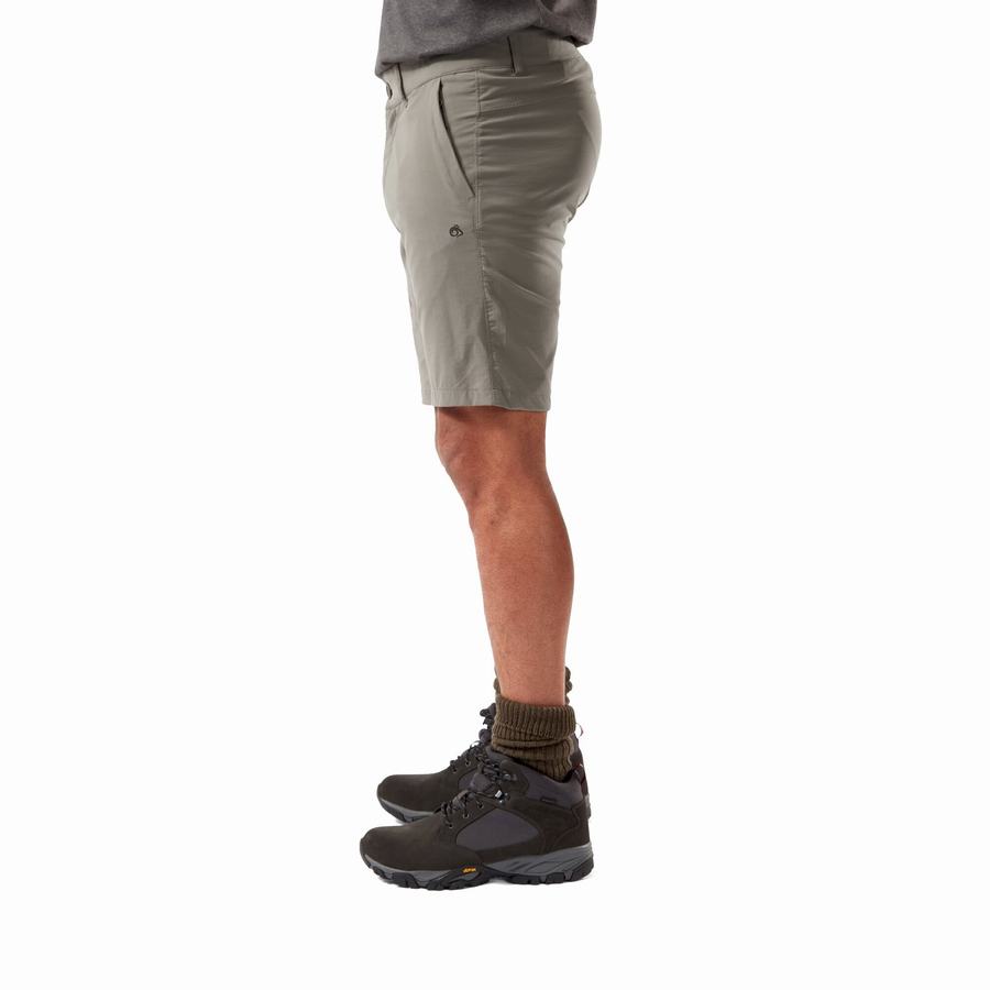 Men's Craghoppers NosiLife Pro Active Shorts Grey | XOQ136WO