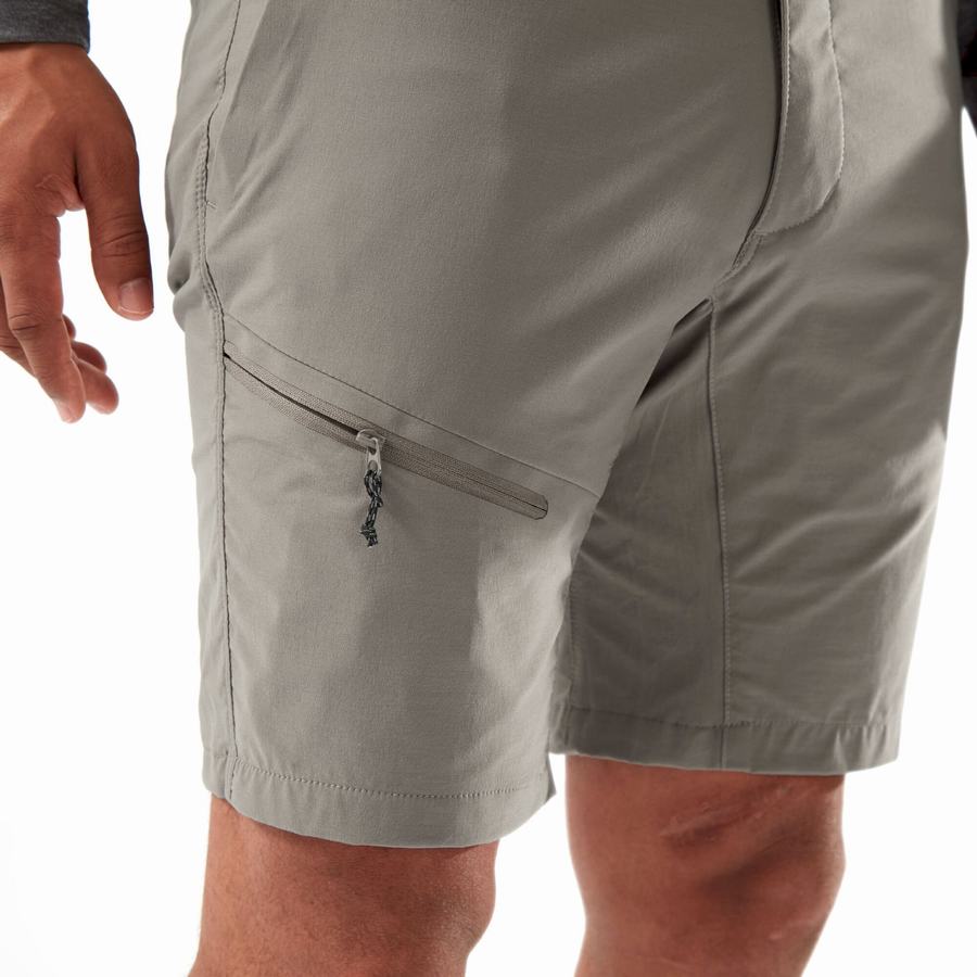 Men's Craghoppers NosiLife Pro Active Shorts Grey | XOQ136WO