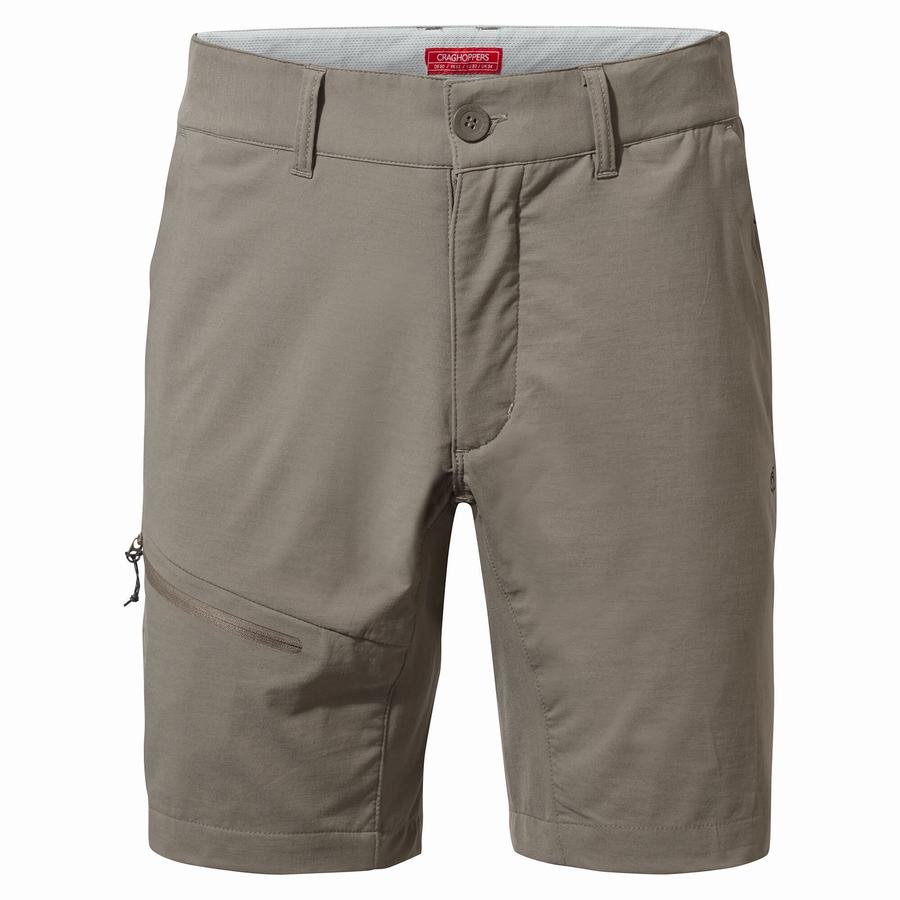 Men's Craghoppers NosiLife Pro Active Shorts Grey | XOQ136WO