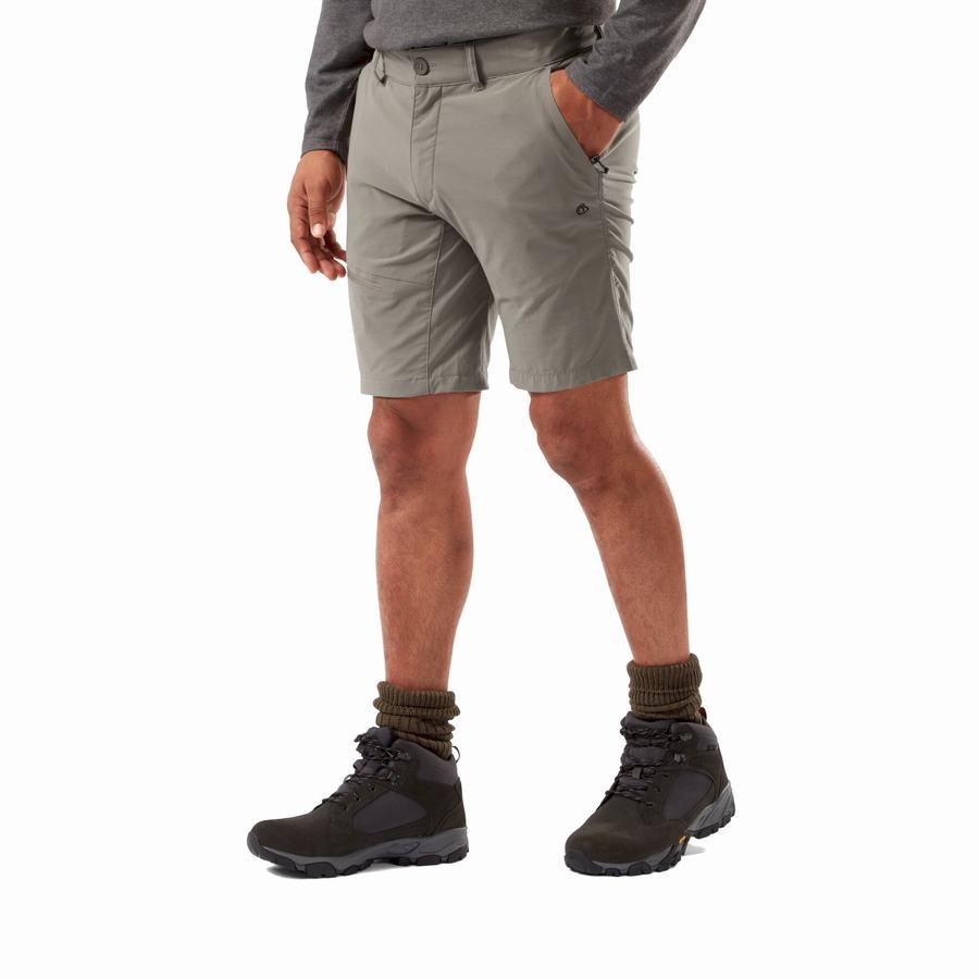 Men's Craghoppers NosiLife Pro Active Shorts Grey | XOQ136WO