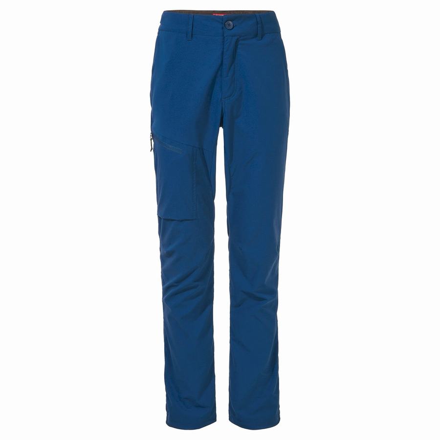 Men's Craghoppers NosiLife Pro Active Trousers Navy Blue | FHT890IN