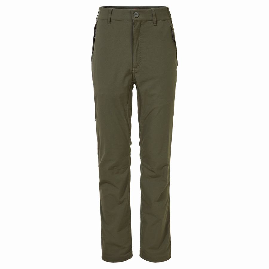 Men's Craghoppers NosiLife Pro II Trousers Green | GVB6160BP