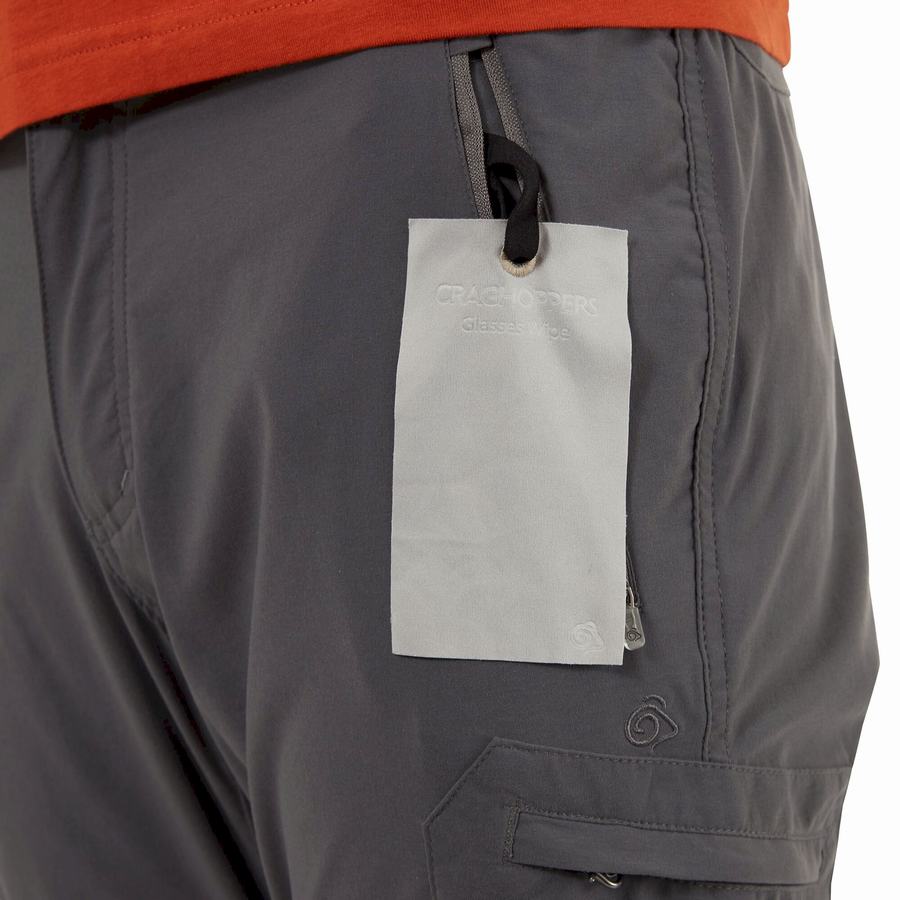 Men's Craghoppers NosiLife Pro II Trousers Grey | UUZ3254BY