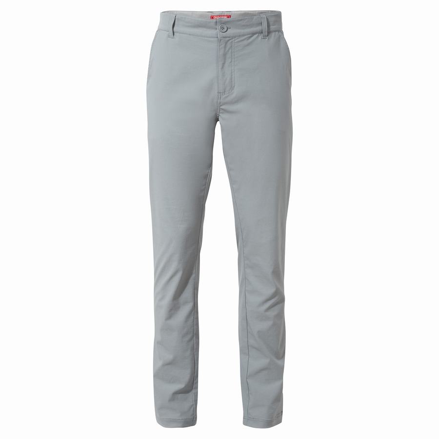 Men's Craghoppers NosiLife Santos Trousers Grey | MDL8279MO