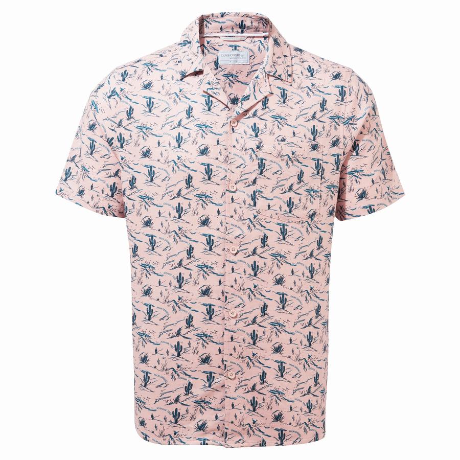 Men's Craghoppers Nosibotanical Hula Short Sleeved Shirts Pink | HIN7097QT