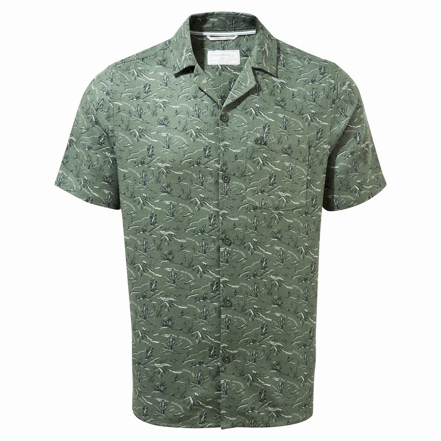 Men\'s Craghoppers Nosibotanical Hula Short Sleeved Shirts Green | QFI4779UO