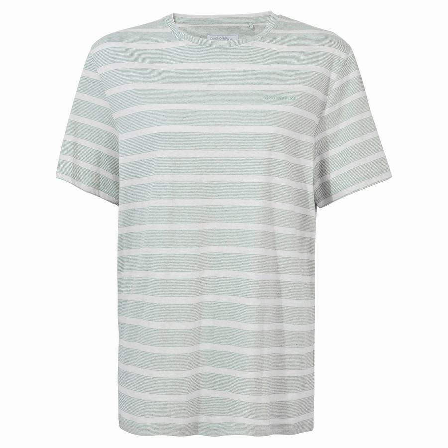 Men's Craghoppers Nosibotanical Sten Short Sleeved T-Shirts Green Stripes | IKK2484BO