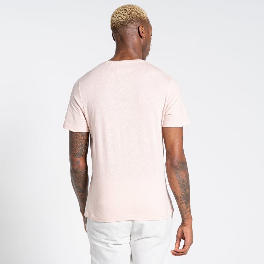 Men's Craghoppers Nosibotanical Sten Short Sleeved T-Shirts Pink | SYC1439LY