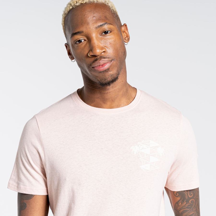 Men's Craghoppers Nosibotanical Sten Short Sleeved T-Shirts Pink | SYC1439LY