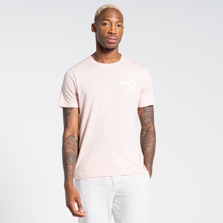 Men's Craghoppers Nosibotanical Sten Short Sleeved T-Shirts Pink | SYC1439LY