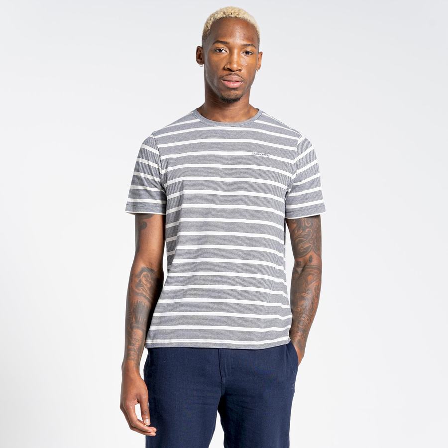 Men's Craghoppers Nosibotanical Sten Short Sleeved T-Shirts Blue Navy Stripes | UGR8024PL