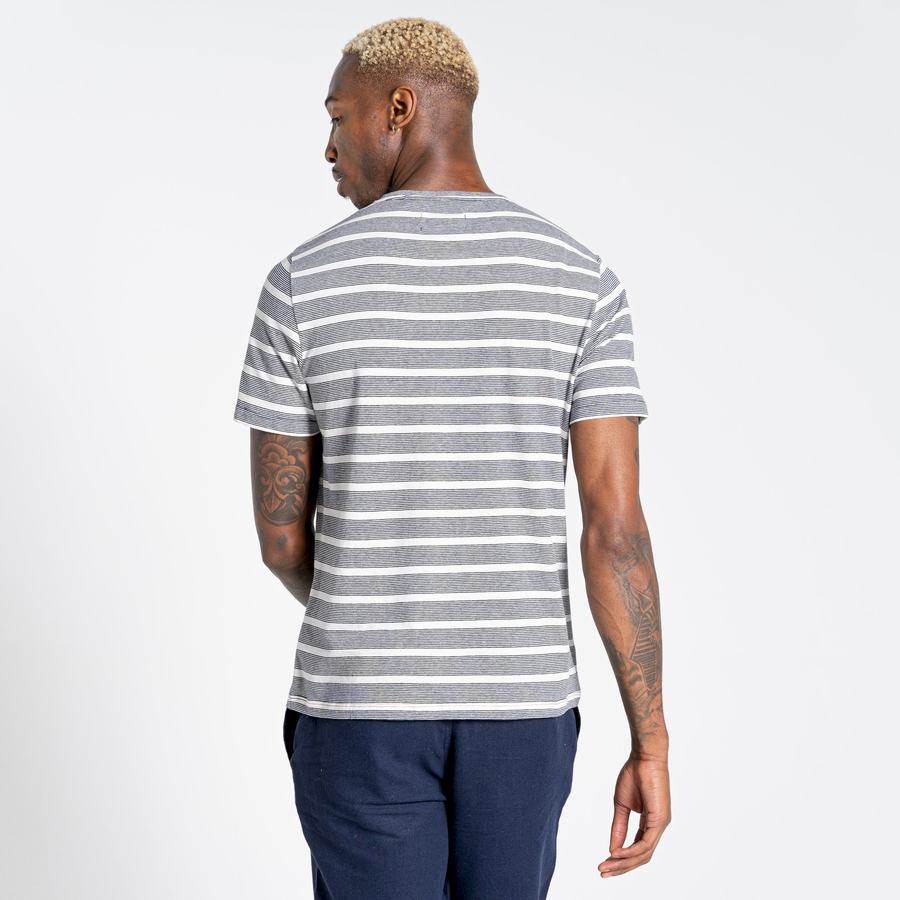 Men's Craghoppers Nosibotanical Sten Short Sleeved T-Shirts Blue Navy Stripes | UGR8024PL