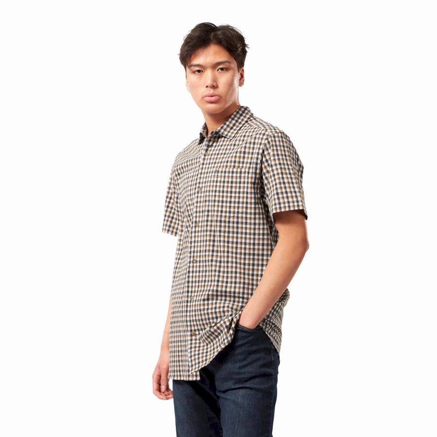 Men's Craghoppers Nour Short Sleeved Check Shirts Green | GUG7733ID