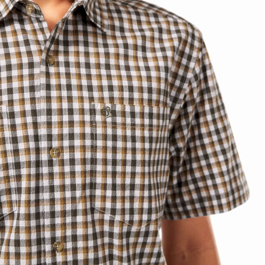 Men's Craghoppers Nour Short Sleeved Check Shirts Green | GUG7733ID