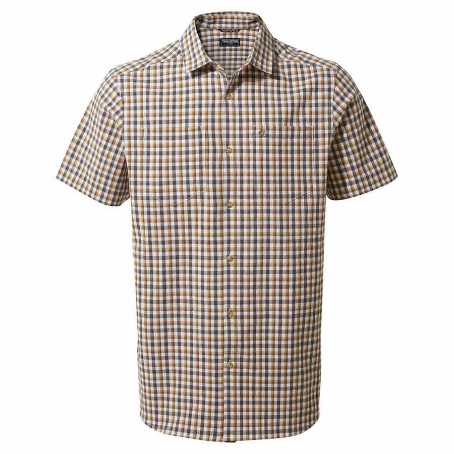 Men\'s Craghoppers Nour Short Sleeved Check Shirts Green | GUG7733ID