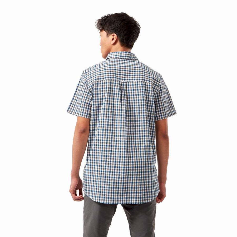 Men's Craghoppers Nour Short Sleeved Check Shirts Blue Navy | SAJ1011WR