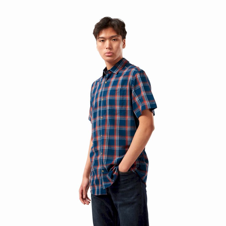 Men's Craghoppers Rafie Short Sleeved Check Shirts Navy Blue | EZS46DD