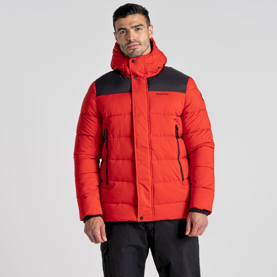 Men's Craghoppers Sutherland Insulated Hooded Jackets Red Black | XFR8584CB