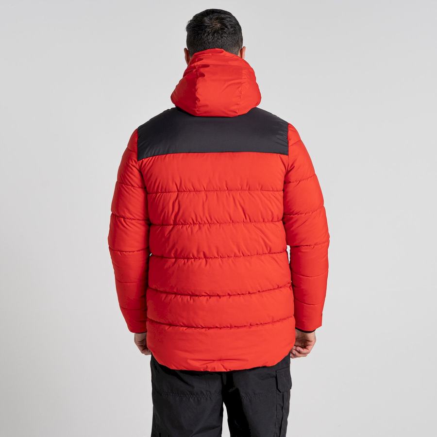 Men's Craghoppers Sutherland Insulated Hooded Jackets Red Black | XFR8584CB