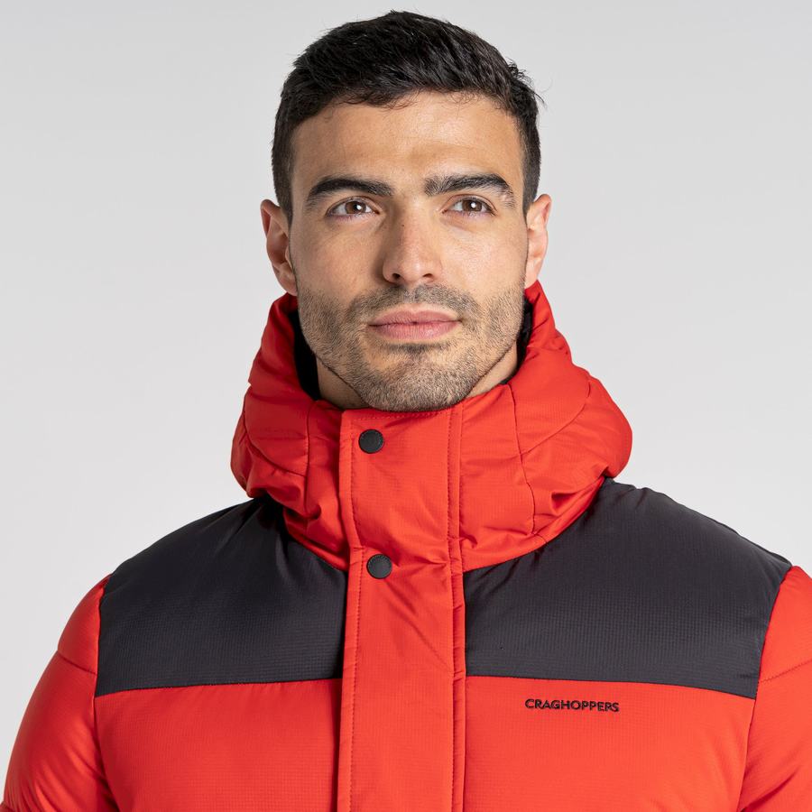 Men's Craghoppers Sutherland Insulated Hooded Jackets Red Black | XFR8584CB