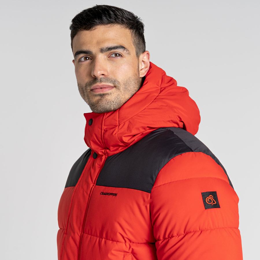 Men's Craghoppers Sutherland Insulated Hooded Jackets Red Black | XFR8584CB