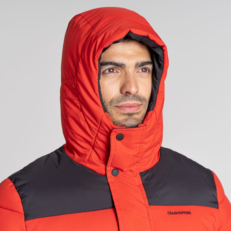 Men's Craghoppers Sutherland Insulated Hooded Jackets Red Black | XFR8584CB