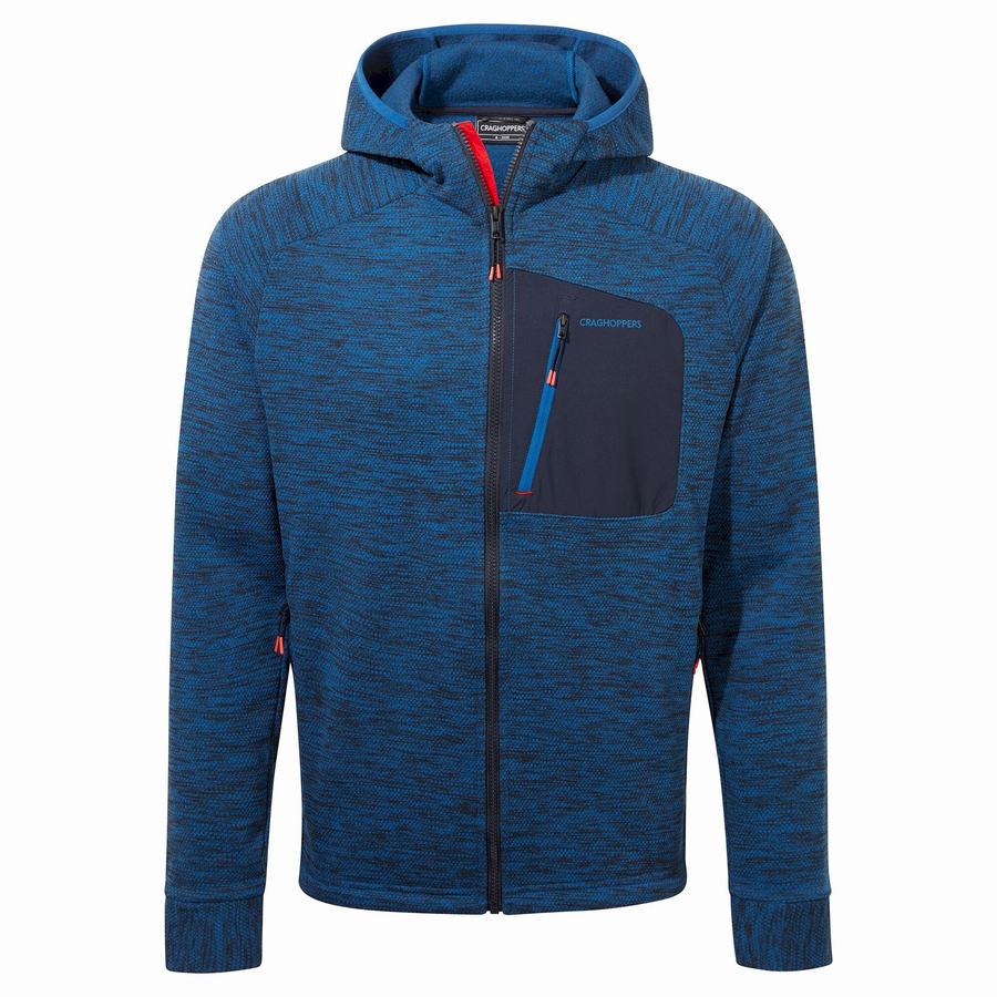 Men\'s Craghoppers Tarbert Hooded Jackets Blue | UXJ178JK