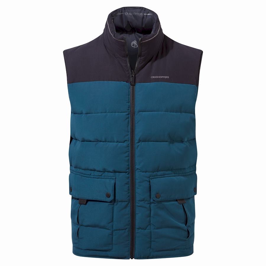 Men\'s Craghoppers Trillick Downlike Gilets Navy Blue | NTE8259LS