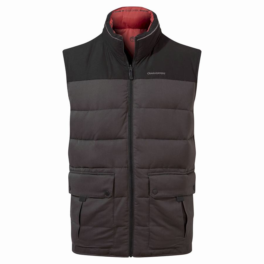 Men's Craghoppers Trillick Downlike Gilets Black | ZIA974MK