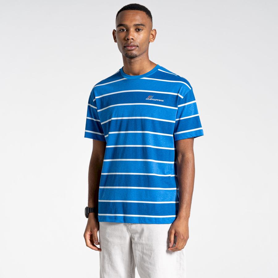 Men's Craghoppers Ventura Short Sleeved T-Shirts Blue Stripes | GDY6335TS