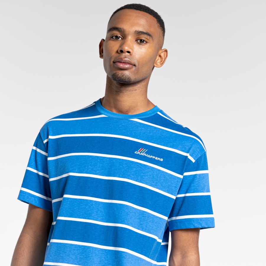 Men's Craghoppers Ventura Short Sleeved T-Shirts Blue Stripes | GDY6335TS