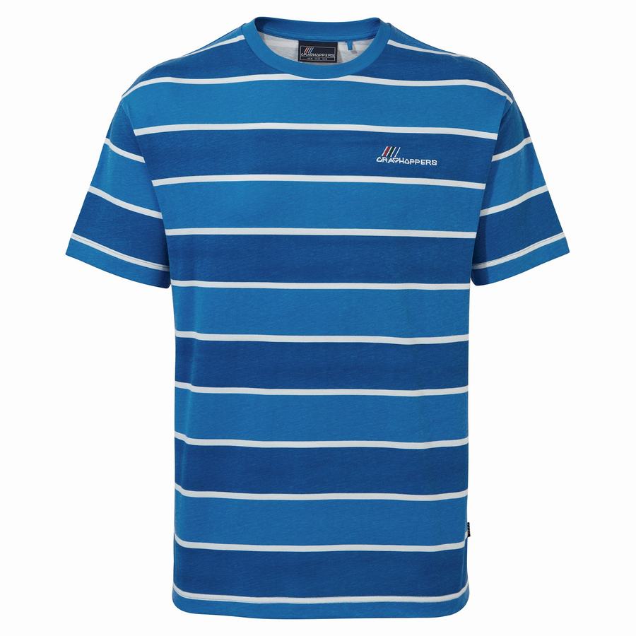 Men\'s Craghoppers Ventura Short Sleeved T-Shirts Blue Stripes | GDY6335TS