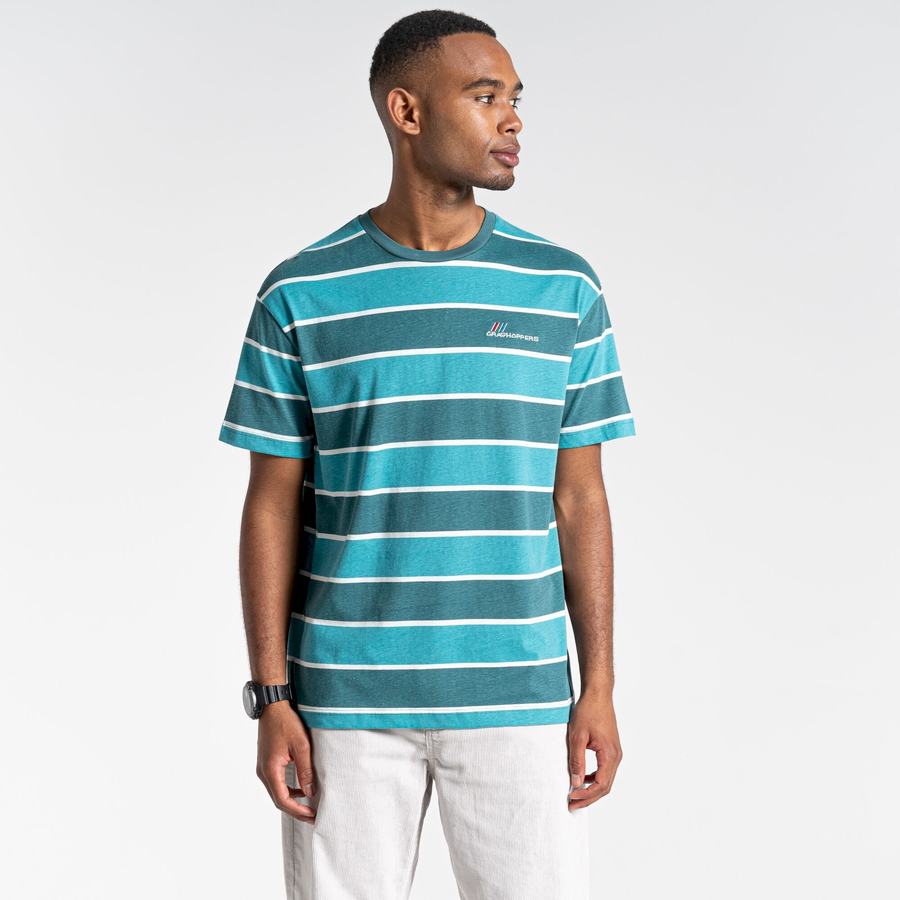 Men's Craghoppers Ventura Short Sleeved T-Shirts Green Stripes | SIP1027JU