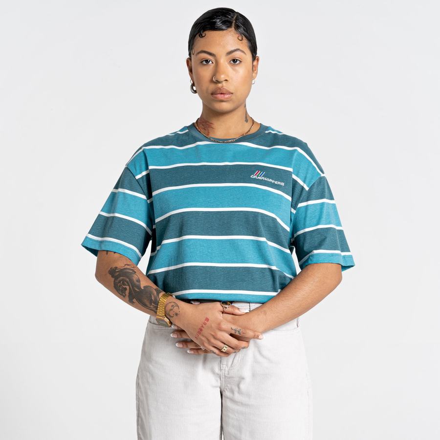 Men's Craghoppers Ventura Short Sleeved T-Shirts Green Stripes | SIP1027JU