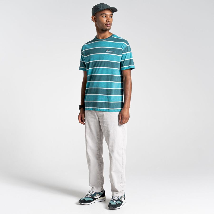 Men's Craghoppers Ventura Short Sleeved T-Shirts Green Stripes | SIP1027JU