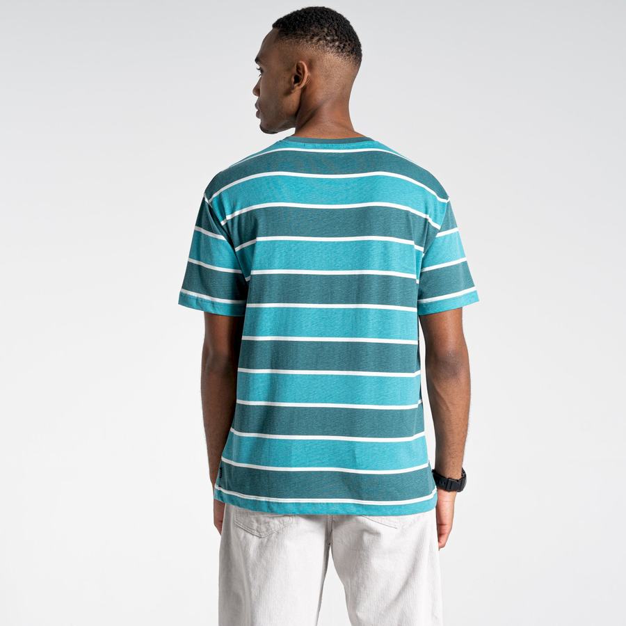 Men's Craghoppers Ventura Short Sleeved T-Shirts Green Stripes | SIP1027JU