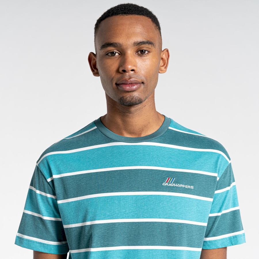 Men's Craghoppers Ventura Short Sleeved T-Shirts Green Stripes | SIP1027JU