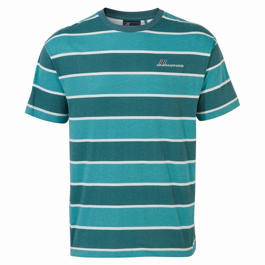 Men's Craghoppers Ventura Short Sleeved T-Shirts Green Stripes | SIP1027JU