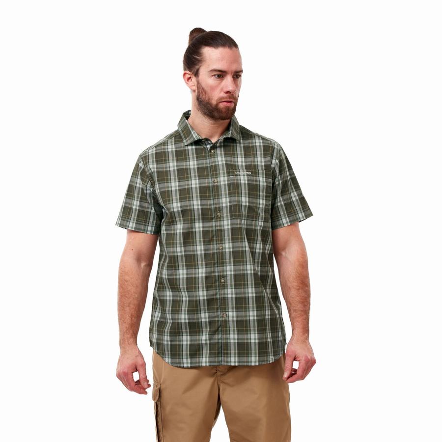 Men's Craghoppers Vernon Short Sleeved Shirts Green | TJU9315MN