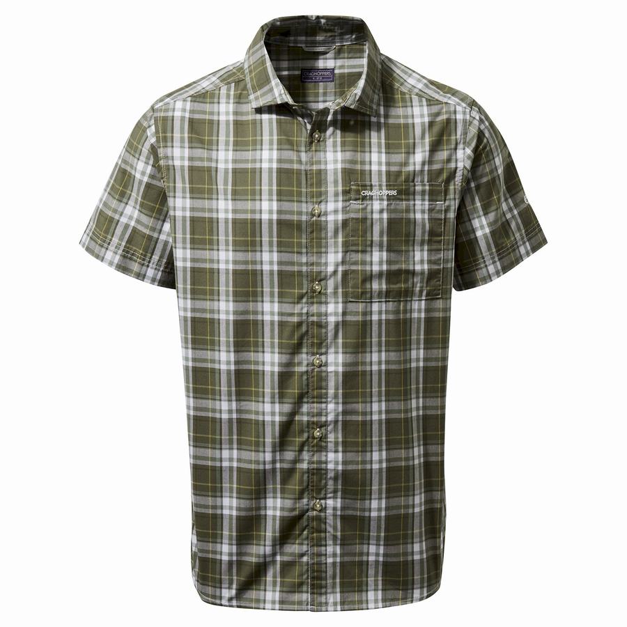 Men\'s Craghoppers Vernon Short Sleeved Shirts Green | TJU9315MN