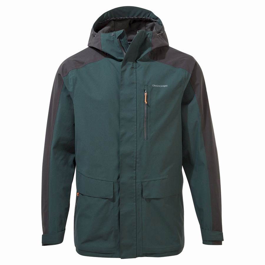 Men's Craghoppers Waterproof Lorton Jackets Green | LIZ1003NA