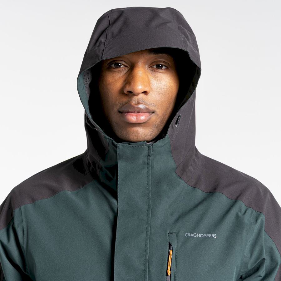 Men's Craghoppers Waterproof Lorton Jackets Green | LIZ1003NA