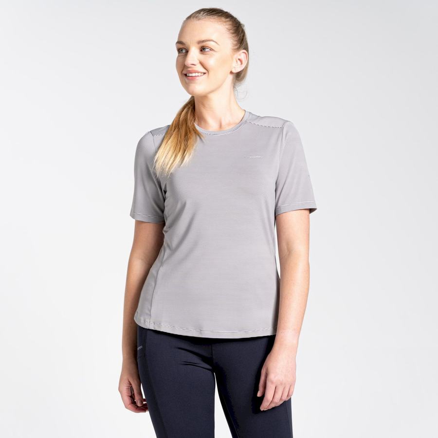 Women's Craghoppers Aliso Short Sleeved T-Shirts Grey | SLZ1455AL