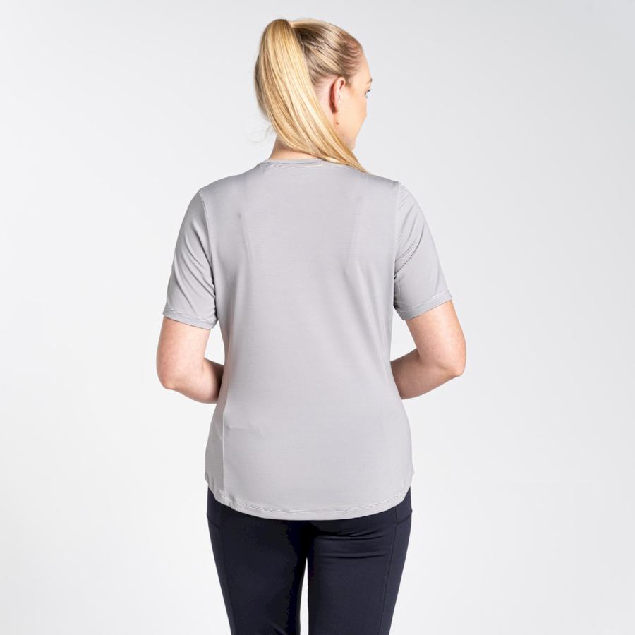 Women's Craghoppers Aliso Short Sleeved T-Shirts Grey | SLZ1455AL