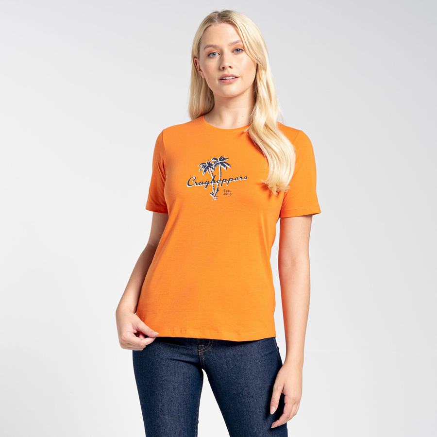 Women's Craghoppers Ally Short Sleeved T-Shirts Orange | PCP4577DS