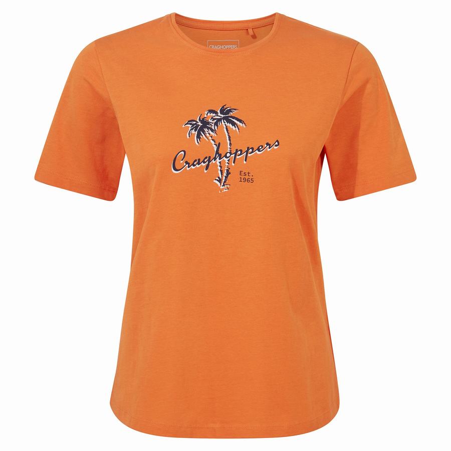 Women's Craghoppers Ally Short Sleeved T-Shirts Orange | PCP4577DS