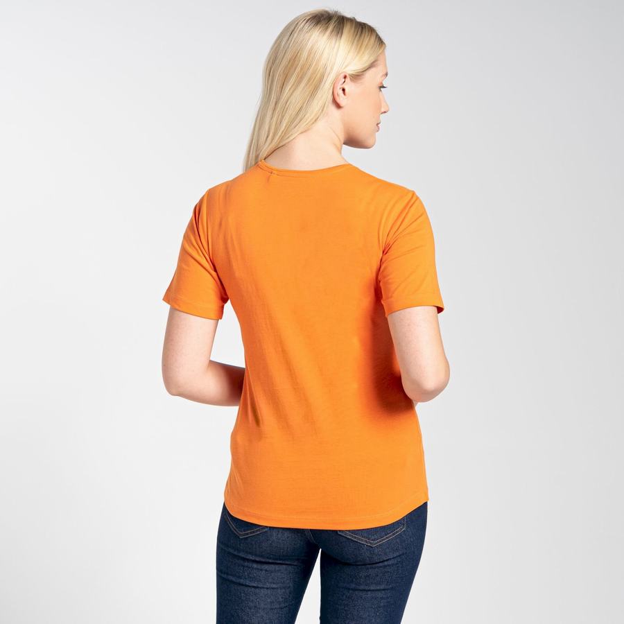 Women's Craghoppers Ally Short Sleeved T-Shirts Orange | PCP4577DS